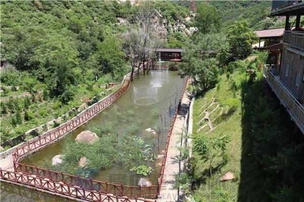 “荷風送香氣，竹露滴清響”洛陽隆中重工2019年度員工旅游活動--登封大熊山仙人谷一日游